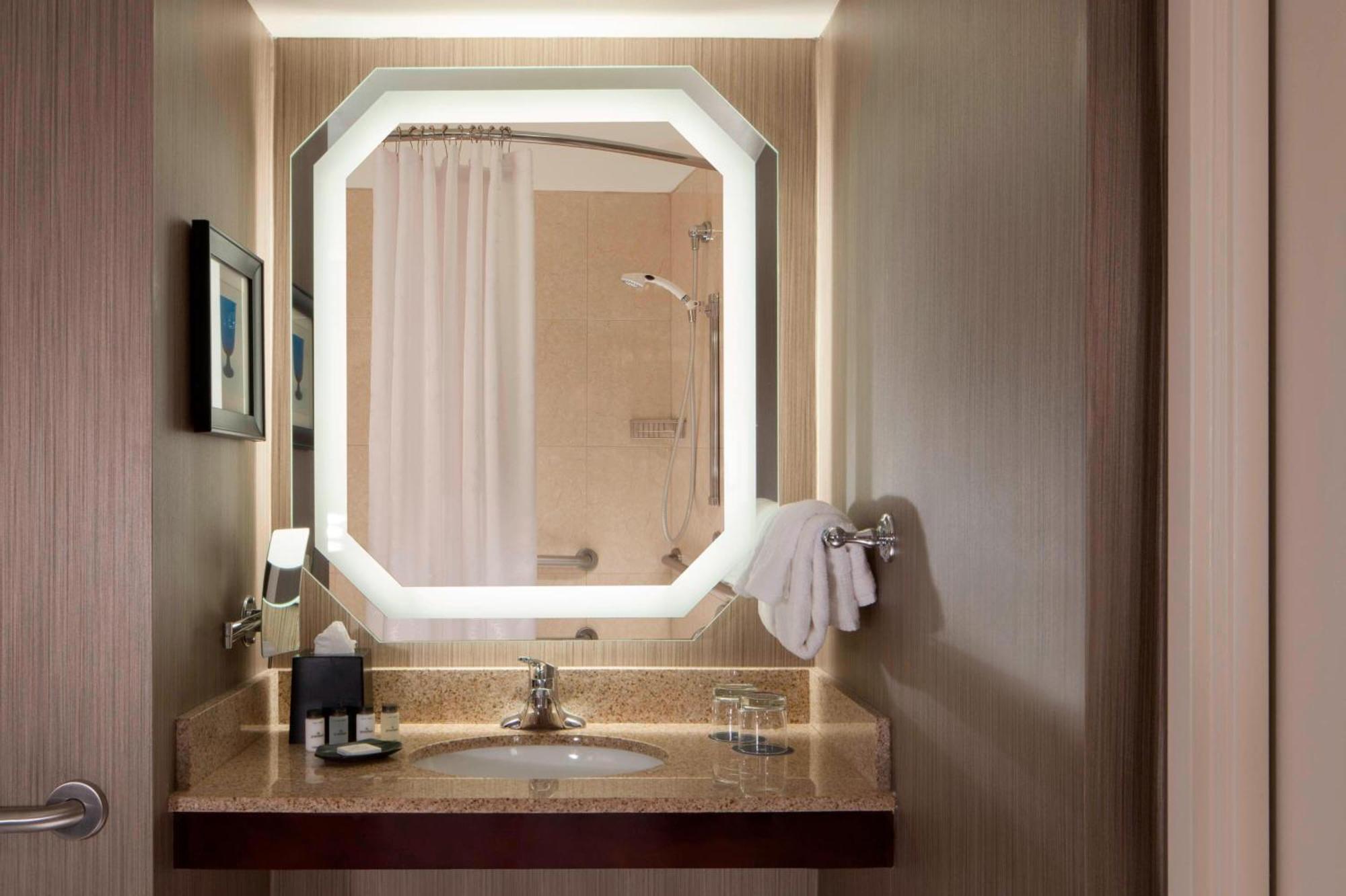 Hotel Sheraton Dfw Airport 4*