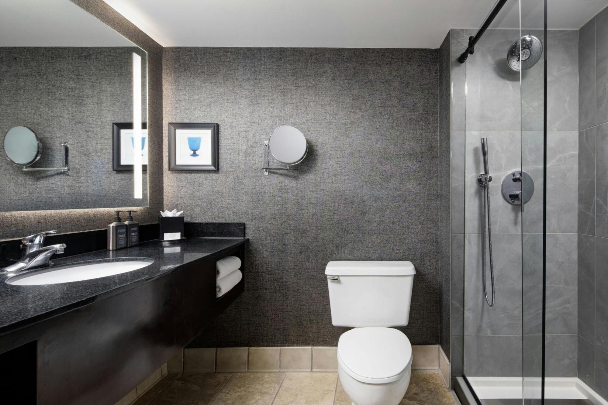 Sheraton Dfw Airport Hotel 4*